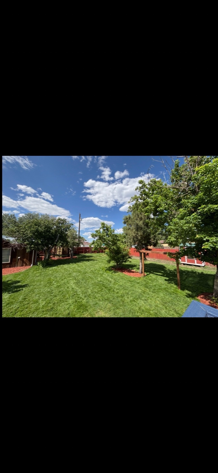 Backyard landscaping and xeriscaping project in Southern Colorado